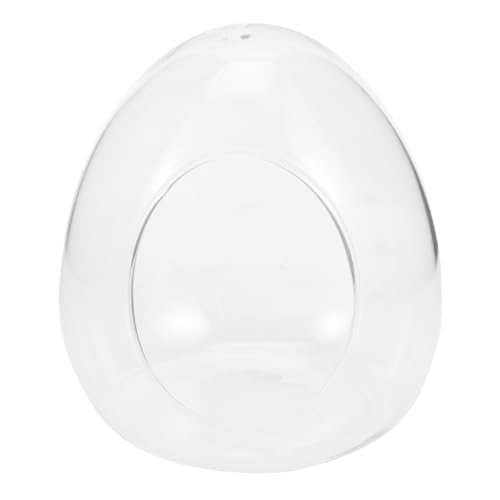 BESPORTBLE Terrarium Miniatur Landschaft Dekoratives Pflanzgefäß aus Hochwertigem DIY Fläschchen für Büro und Wohnraumgestaltung von BESPORTBLE