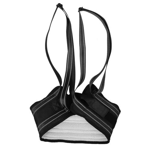 BESPORTBLE Verstellbares Hundehilfe Geschirr mit Griff Leichter Faltbarer Sling für Kleine und Ältere Hunde Sanfte Unterstützung bei Gelenk und Beinrehabilitation für Treppen Outdoor und BESPORTBLE Verstellbares Hundehilfe Geschirr mit Griff Leichter Faltbarer Sling für Kleine und Ältere Hunde Sanfte Unterstützung bei Gelenk und Beinrehabilitation für Treppen Outdoor und von BESPORTBLE