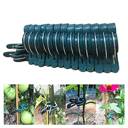 BESSIKON® 60 Pflanzenclips,Pflanzenklammern für Tomaten,Gurken und andere Rankpflanzen,Kletterpflanzen Befestigung,Rankhilfe für Pflanzen,Stabile Klammern für Gartenarbeit,Pflanzenklettern Werkzeug von BESSIKON