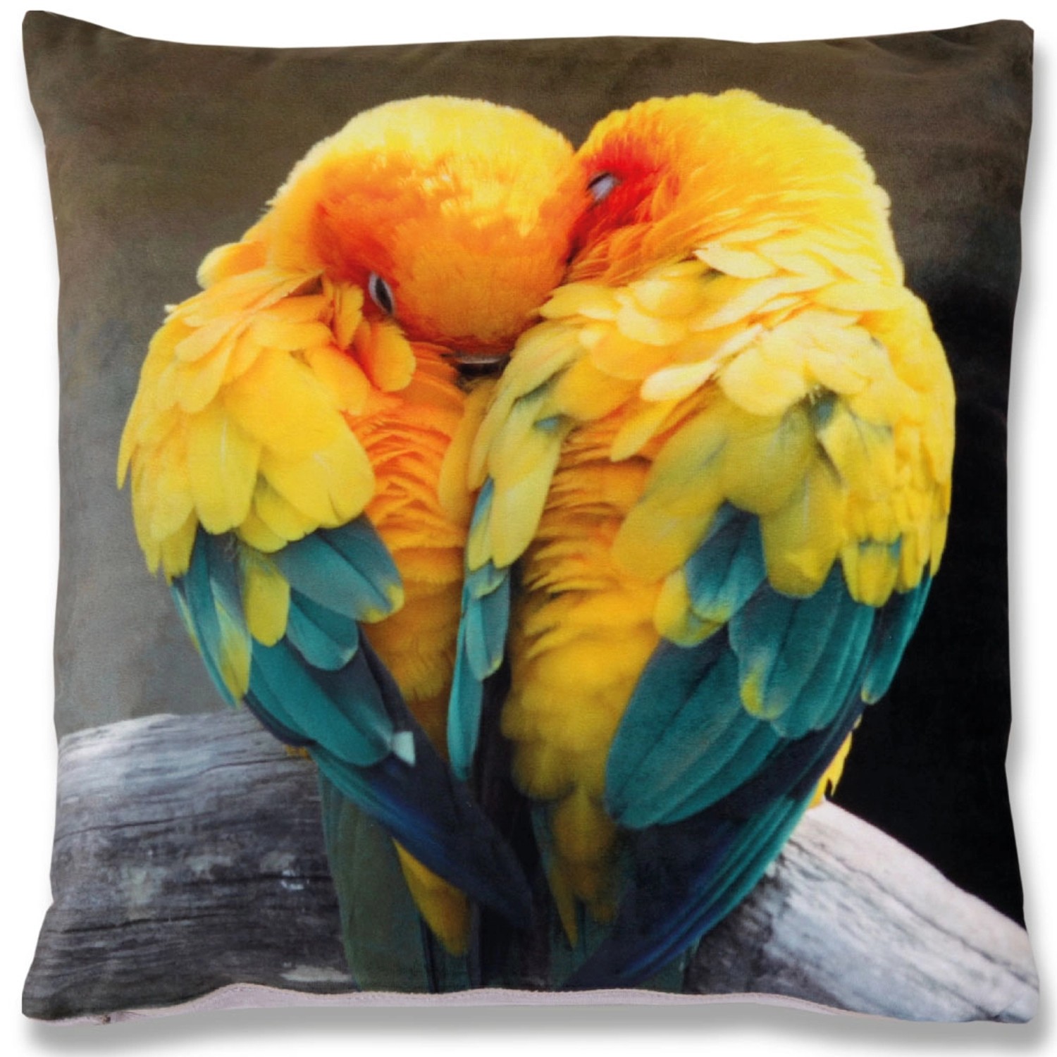 Bestlivings Kissenhülle 2er Pack Fotodruck 40 x 40 cm Sittiche von BESTLIVINGS