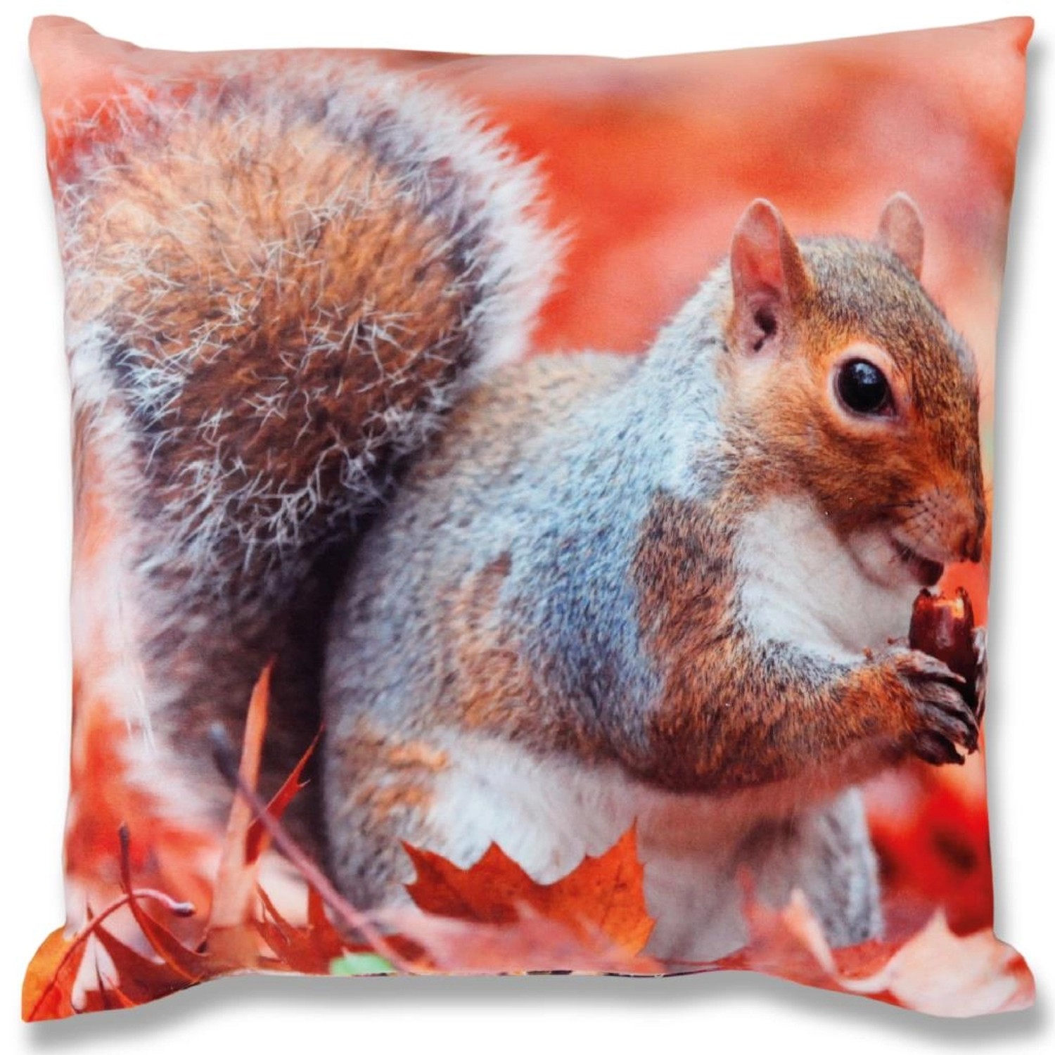 Bestlivings Kissenhülle Fotodruck 2er Pack Eichhörnchen 40 x 40 cm von BESTLIVINGS