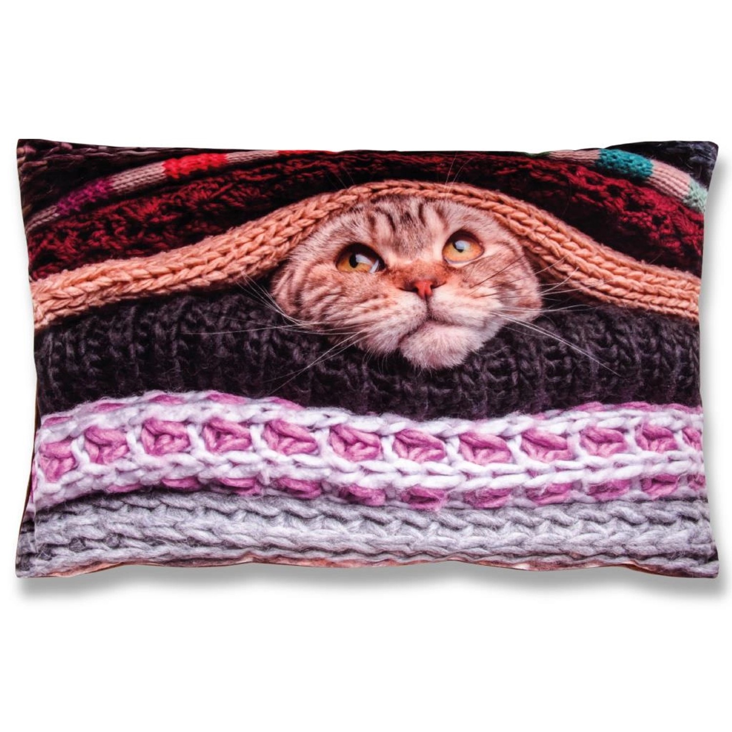 Bestlivings Kissenhülle Fotodruck 2er Pack Katze 40 x 60 cm von BESTLIVINGS