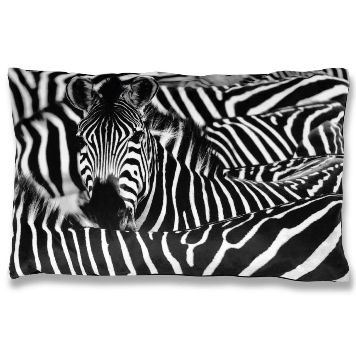 Bestlivings Kissenhülle Fotodruck 2er Pack Zebra 40 x 60 cm von BESTLIVINGS