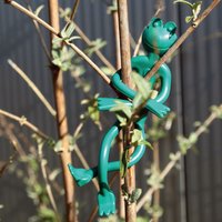 Pflanzenhalter - Frosch - 4er Pack - Pflanzenbinder, wiederverwendbarer Kabelbinder, Pflanzenklammer von BESTLIVINGS
