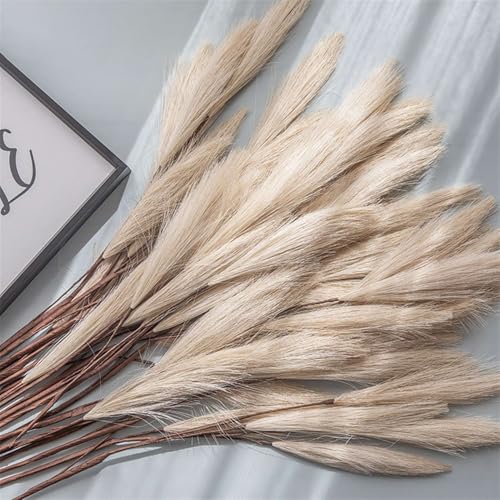 BESTORI 8 Stück Pampasgras Getrocknet Boho Natural Trockenblumen Bouquet 80cm Schilfblume Deko für Hochzeit Vase Wohnzimmer Tischdeko, Beige von BESTORI
