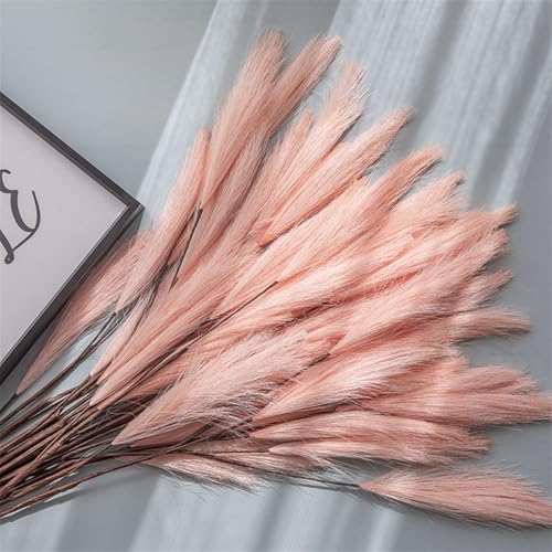 BESTORI 8 Stück Pampasgras Getrocknet Boho Natural Trockenblumen Bouquet 80cm Schilfblume Deko für Hochzeit Vase Wohnzimmer Tischdeko, Orange von BESTORI