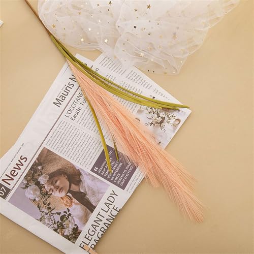 BESTORI 8 Stück Pampasgras Getrocknet Groß 100cm Sträuße Getrocknetes Flauschige Natürliche Pflanze für Wohnzimmer Hochzeit Boho Deko, Orange BESTORI 8 Stück Pampasgras Getrocknet Groß 100cm Sträuße Getrocknetes Flauschige Natürliche Pflanze für Wohnzimmer Hochzeit Boho Deko, Orange von BESTORI