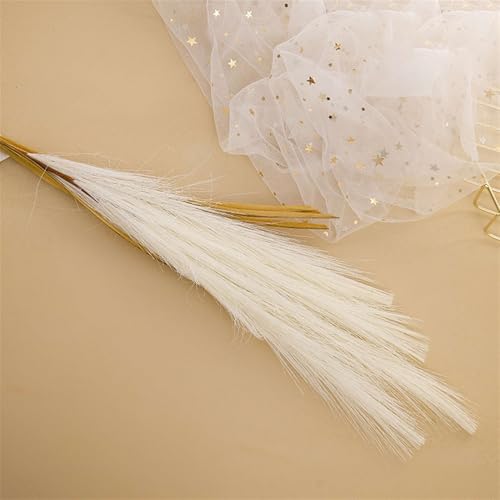 BESTORI 8 Stück Pampasgras Getrocknet Groß 100cm Sträuße Getrocknetes Flauschige Natürliche Pflanze für Wohnzimmer Hochzeit Boho Deko, Weiß BESTORI 8 Stück Pampasgras Getrocknet Groß 100cm Sträuße Getrocknetes Flauschige Natürliche Pflanze für Wohnzimmer Hochzeit Boho Deko, Weiß von BESTORI