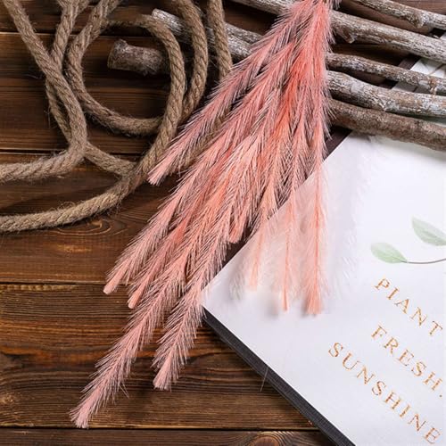 BESTORI 8 Stück Pampasgras Getrocknet Natürliche Flauschige Trockenblumen 77cm Boho Pampasgras-Bouquet Schilfblume Deko für Hochzeit Vasen, Orange von BESTORI