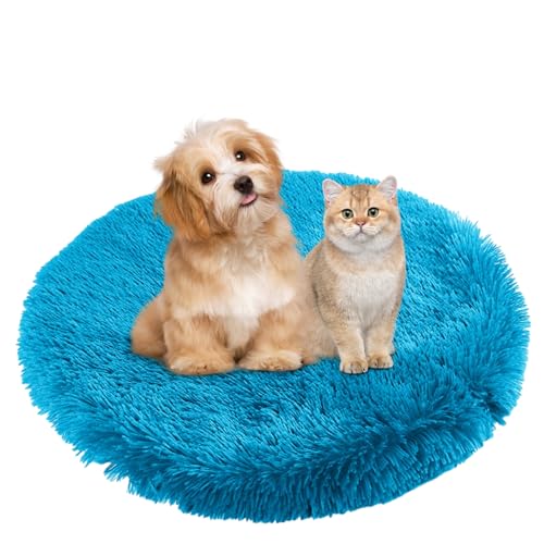 BESTORI Hundebett Flauschig Katzen Schlafplatz Matte Waschbar Hundekissen Haustierbett Weiche Polsterung für Kleine Mittel Große Haustier, Blau, 80 x 80 cm BESTORI Hundebett Flauschig Katzen Schlafplatz Matte Waschbar Hundekissen Haustierbett Weiche Polsterung für Kleine Mittel Große Haustier, Blau, 80 x 80 cm von BESTORI
