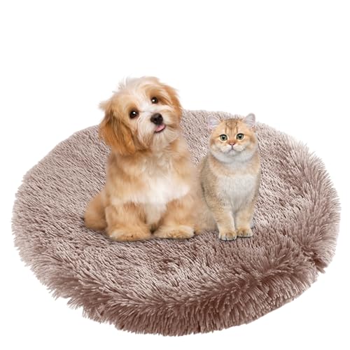 BESTORI Hundebett Flauschig Katzen Schlafplatz Matte Waschbar Hundekissen Haustierbett Weiche Polsterung für Kleine Mittel Große Haustier, Braun 2, 50 x 50 cm BESTORI Hundebett Flauschig Katzen Schlafplatz Matte Waschbar Hundekissen Haustierbett Weiche Polsterung für Kleine Mittel Große Haustier, Braun 2, 50 x 50 cm von BESTORI
