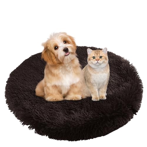 BESTORI Hundebett Flauschig Katzen Schlafplatz Matte Waschbar Hundekissen Haustierbett Weiche Polsterung für Kleine Mittel Große Haustier, Braun 3, 40 x 40 cm BESTORI Hundebett Flauschig Katzen Schlafplatz Matte Waschbar Hundekissen Haustierbett Weiche Polsterung für Kleine Mittel Große Haustier, Braun 3, 40 x 40 cm von BESTORI