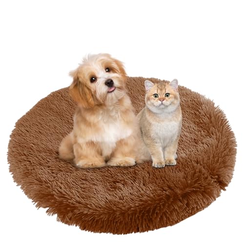 BESTORI Hundebett Flauschig Katzen Schlafplatz Matte Waschbar Hundekissen Haustierbett Weiche Polsterung für Kleine Mittel Große Haustier, Braun 4, 40 x 40 cm BESTORI Hundebett Flauschig Katzen Schlafplatz Matte Waschbar Hundekissen Haustierbett Weiche Polsterung für Kleine Mittel Große Haustier, Braun 4, 40 x 40 cm von BESTORI