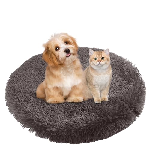 BESTORI Hundebett Flauschig Katzen Schlafplatz Matte Waschbar Hundekissen Haustierbett Weiche Polsterung für Kleine Mittel Große Haustier, Braun 5, 50 x 50 cm BESTORI Hundebett Flauschig Katzen Schlafplatz Matte Waschbar Hundekissen Haustierbett Weiche Polsterung für Kleine Mittel Große Haustier, Braun 5, 50 x 50 cm von BESTORI