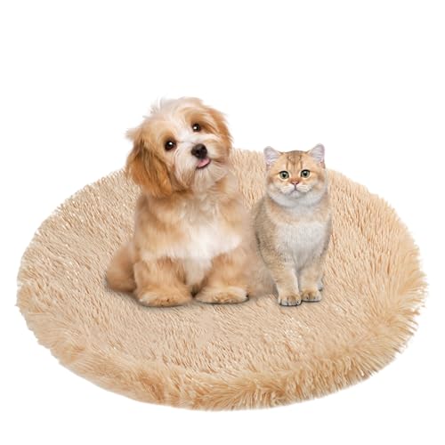 BESTORI Hundebett Flauschig Katzen Schlafplatz Matte Waschbar Hundekissen Haustierbett Weiche Polsterung für Kleine Mittel Große Haustier, Champagner, 100 x 100 cm BESTORI Hundebett Flauschig Katzen Schlafplatz Matte Waschbar Hundekissen Haustierbett Weiche Polsterung für Kleine Mittel Große Haustier, Champagner, 100 x 100 cm von BESTORI