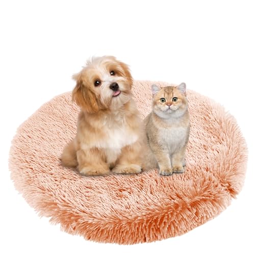 BESTORI Hundebett Flauschig Katzen Schlafplatz Matte Waschbar Hundekissen Haustierbett Weiche Polsterung für Kleine Mittel Große Haustier, Dunkelchampagner, 70 x 70 cm BESTORI Hundebett Flauschig Katzen Schlafplatz Matte Waschbar Hundekissen Haustierbett Weiche Polsterung für Kleine Mittel Große Haustier, Dunkelchampagner, 70 x 70 cm von BESTORI