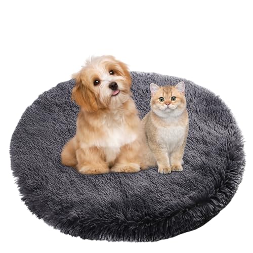 BESTORI Hundebett Flauschig Katzen Schlafplatz Matte Waschbar Hundekissen Haustierbett Weiche Polsterung für Kleine Mittel Große Haustier, Dunkelgrau, 50 x 50 cm BESTORI Hundebett Flauschig Katzen Schlafplatz Matte Waschbar Hundekissen Haustierbett Weiche Polsterung für Kleine Mittel Große Haustier, Dunkelgrau, 50 x 50 cm von BESTORI