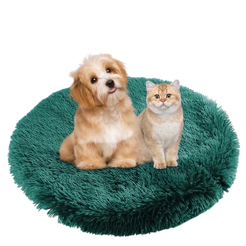 BESTORI Hundebett Flauschig Katzen Schlafplatz Matte Waschbar Hundekissen Haustierbett Weiche Polsterung für Kleine Mittel Große Haustier, Dunkelgrün, 80 x 80 cm BESTORI Hundebett Flauschig Katzen Schlafplatz Matte Waschbar Hundekissen Haustierbett Weiche Polsterung für Kleine Mittel Große Haustier, Dunkelgrün, 80 x 80 cm von BESTORI