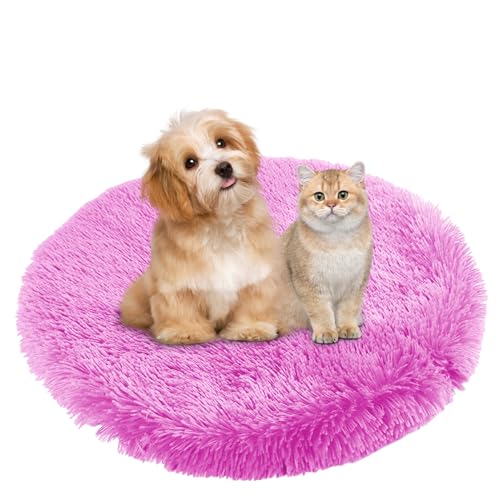 BESTORI Hundebett Flauschig Katzen Schlafplatz Matte Waschbar Hundekissen Haustierbett Weiche Polsterung für Kleine Mittel Große Haustier, Dunkelrosa, 50 x 50 cm BESTORI Hundebett Flauschig Katzen Schlafplatz Matte Waschbar Hundekissen Haustierbett Weiche Polsterung für Kleine Mittel Große Haustier, Dunkelrosa, 50 x 50 cm von BESTORI