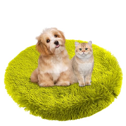 BESTORI Hundebett Flauschig Katzen Schlafplatz Matte Waschbar Hundekissen Haustierbett Weiche Polsterung für Kleine Mittel Große Haustier, Grün 1, 100 x 100 cm BESTORI Hundebett Flauschig Katzen Schlafplatz Matte Waschbar Hundekissen Haustierbett Weiche Polsterung für Kleine Mittel Große Haustier, Grün 1, 100 x 100 cm von BESTORI