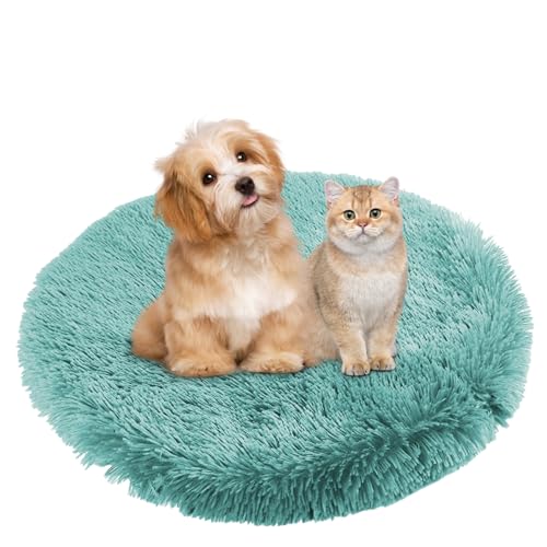 BESTORI Hundebett Flauschig Katzen Schlafplatz Matte Waschbar Hundekissen Haustierbett Weiche Polsterung für Kleine Mittel Große Haustier, Grün 2, 40 x 40 cm BESTORI Hundebett Flauschig Katzen Schlafplatz Matte Waschbar Hundekissen Haustierbett Weiche Polsterung für Kleine Mittel Große Haustier, Grün 2, 40 x 40 cm von BESTORI