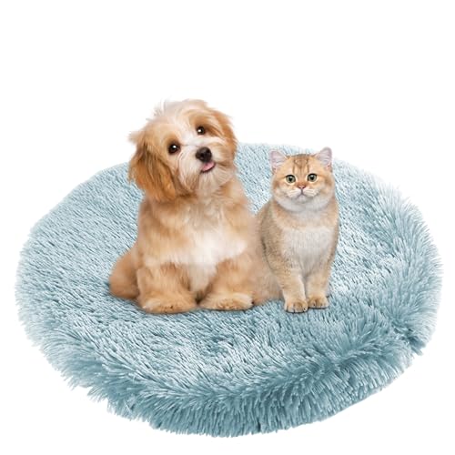 BESTORI Hundebett Flauschig Katzen Schlafplatz Matte Waschbar Hundekissen Haustierbett Weiche Polsterung für Kleine Mittel Große Haustier, Hellblau, 60 x 60 cm BESTORI Hundebett Flauschig Katzen Schlafplatz Matte Waschbar Hundekissen Haustierbett Weiche Polsterung für Kleine Mittel Große Haustier, Hellblau, 60 x 60 cm von BESTORI