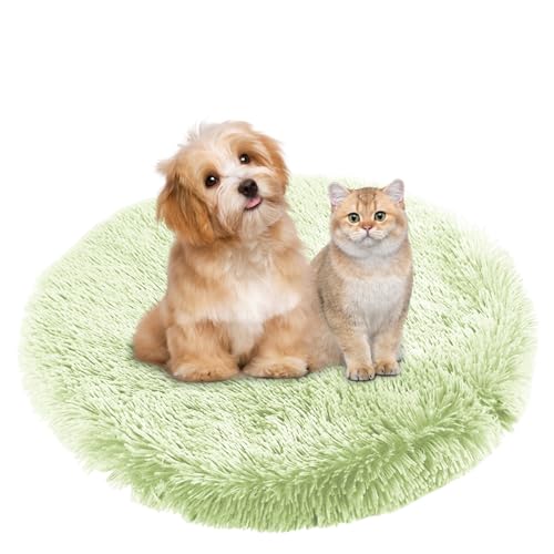 BESTORI Hundebett Flauschig Katzen Schlafplatz Matte Waschbar Hundekissen Haustierbett Weiche Polsterung für Kleine Mittel Große Haustier, Hellgrün, 90 x 90 cm BESTORI Hundebett Flauschig Katzen Schlafplatz Matte Waschbar Hundekissen Haustierbett Weiche Polsterung für Kleine Mittel Große Haustier, Hellgrün, 90 x 90 cm von BESTORI