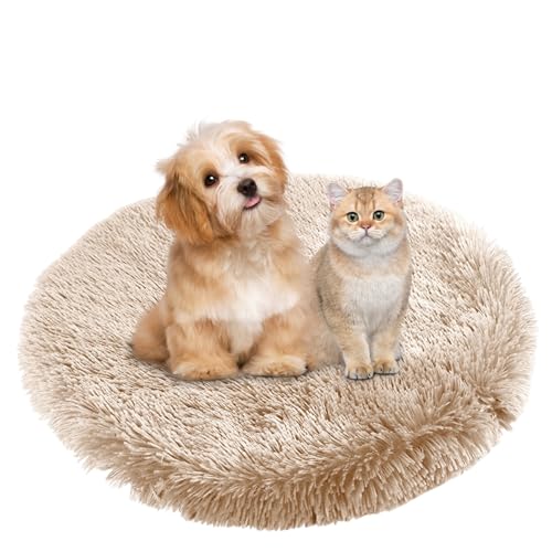 BESTORI Hundebett Flauschig Katzen Schlafplatz Matte Waschbar Hundekissen Haustierbett Weiche Polsterung für Kleine Mittel Große Haustier, Khaki, 90 x 90 cm BESTORI Hundebett Flauschig Katzen Schlafplatz Matte Waschbar Hundekissen Haustierbett Weiche Polsterung für Kleine Mittel Große Haustier, Khaki, 90 x 90 cm von BESTORI
