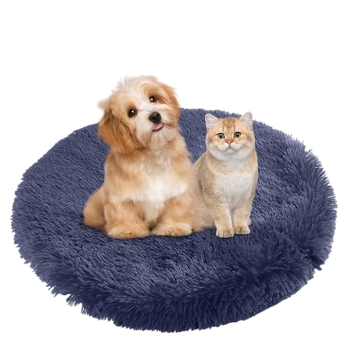 BESTORI Hundebett Flauschig Katzen Schlafplatz Matte Waschbar Hundekissen Haustierbett Weiche Polsterung für Kleine Mittel Große Haustier, Königsblau, 100 x 100 cm BESTORI Hundebett Flauschig Katzen Schlafplatz Matte Waschbar Hundekissen Haustierbett Weiche Polsterung für Kleine Mittel Große Haustier, Königsblau, 100 x 100 cm von BESTORI