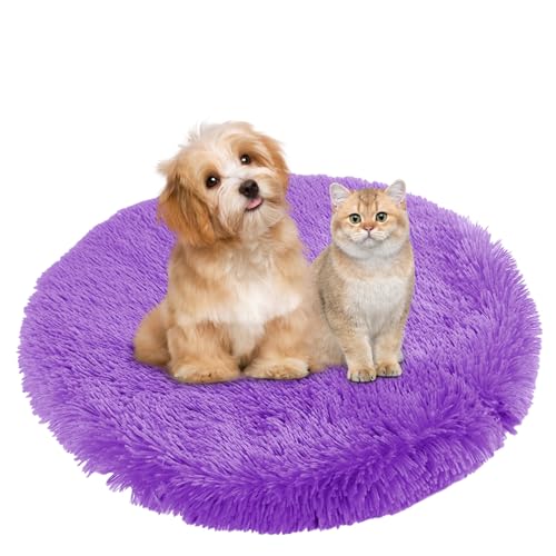 BESTORI Hundebett Flauschig Katzen Schlafplatz Matte Waschbar Hundekissen Haustierbett Weiche Polsterung für Kleine Mittel Große Haustier, Lila, 40 x 40 cm BESTORI Hundebett Flauschig Katzen Schlafplatz Matte Waschbar Hundekissen Haustierbett Weiche Polsterung für Kleine Mittel Große Haustier, Lila, 40 x 40 cm von BESTORI