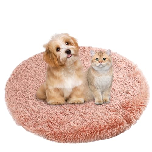BESTORI Hundebett Flauschig Katzen Schlafplatz Matte Waschbar Hundekissen Haustierbett Weiche Polsterung für Kleine Mittel Große Haustier, Orange, 90 x 90 cm BESTORI Hundebett Flauschig Katzen Schlafplatz Matte Waschbar Hundekissen Haustierbett Weiche Polsterung für Kleine Mittel Große Haustier, Orange, 90 x 90 cm von BESTORI