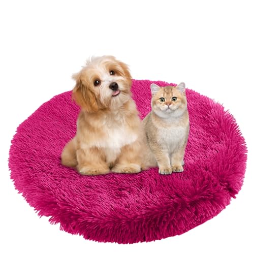 BESTORI Hundebett Flauschig Katzen Schlafplatz Matte Waschbar Hundekissen Haustierbett Weiche Polsterung für Kleine Mittel Große Haustier, Rosenrot, 90 x 90 cm BESTORI Hundebett Flauschig Katzen Schlafplatz Matte Waschbar Hundekissen Haustierbett Weiche Polsterung für Kleine Mittel Große Haustier, Rosenrot, 90 x 90 cm von BESTORI
