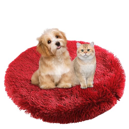 BESTORI Hundebett Flauschig Katzen Schlafplatz Matte Waschbar Hundekissen Haustierbett Weiche Polsterung für Kleine Mittel Große Haustier, Rot, 40 x 40 cm BESTORI Hundebett Flauschig Katzen Schlafplatz Matte Waschbar Hundekissen Haustierbett Weiche Polsterung für Kleine Mittel Große Haustier, Rot, 40 x 40 cm von BESTORI