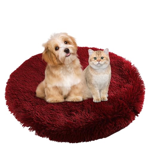 BESTORI Hundebett Flauschig Katzen Schlafplatz Matte Waschbar Hundekissen Haustierbett Weiche Polsterung für Kleine Mittel Große Haustier, Weinrot, 70 x 70 cm BESTORI Hundebett Flauschig Katzen Schlafplatz Matte Waschbar Hundekissen Haustierbett Weiche Polsterung für Kleine Mittel Große Haustier, Weinrot, 70 x 70 cm von BESTORI