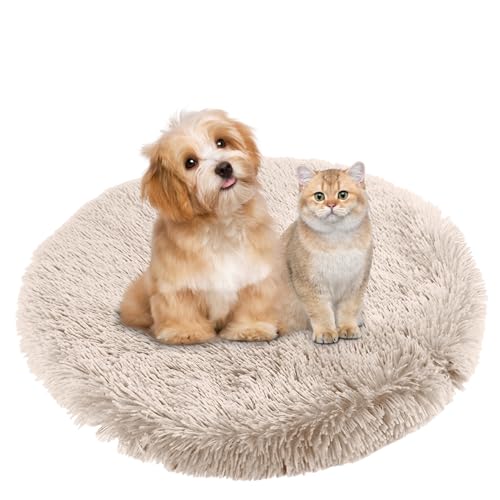 BESTORI Hundebett Flauschig Katzen Schlafplatz Matte Waschbar Hundekissen Haustierbett Weiche Polsterung für Kleine Mittel Große Haustier, Weiß, 70 x 70 cm BESTORI Hundebett Flauschig Katzen Schlafplatz Matte Waschbar Hundekissen Haustierbett Weiche Polsterung für Kleine Mittel Große Haustier, Weiß, 70 x 70 cm von BESTORI