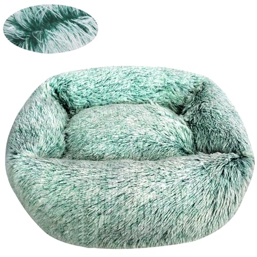 BESTORI Hundebett Gradient Katzenbett Flauschig Hundematte mit rutschfeste Unterseite Weiche Haustierbett Maschinenwaschbar Katze Kissen, Grün, 55 x 45 cm von BESTORI