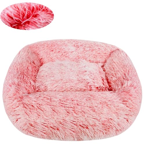 BESTORI Hundebett Gradient Katzenbett Flauschig Hundematte mit rutschfeste Unterseite Weiche Haustierbett Maschinenwaschbar Katze Kissen, Rosa, 45 x 35 cm BESTORI Hundebett Gradient Katzenbett Flauschig Hundematte mit rutschfeste Unterseite Weiche Haustierbett Maschinenwaschbar Katze Kissen, Rosa, 45 x 35 cm von BESTORI