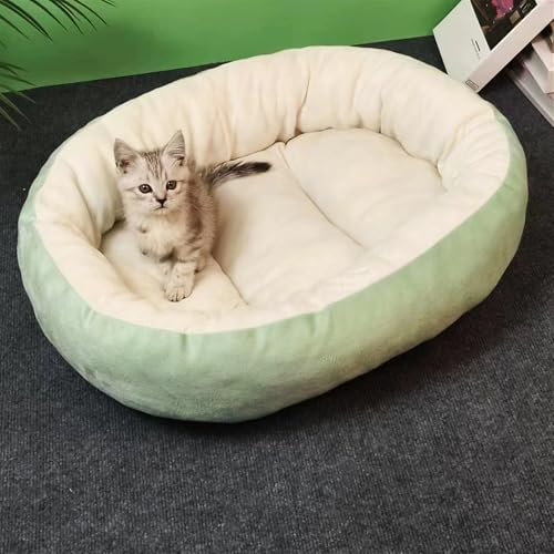 BESTORI Hundebett Katzenbett Maschinenwaschbar Flauschig Hundekissen Weiche Haustierbett Katzen Schlafplatz Matte für Hunde Katze, Grün 1, 90 x 65 cm BESTORI Hundebett Katzenbett Maschinenwaschbar Flauschig Hundekissen Weiche Haustierbett Katzen Schlafplatz Matte für Hunde Katze, Grün 1, 90 x 65 cm von BESTORI