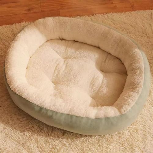 BESTORI Hundebett Katzenbett Maschinenwaschbar Flauschig Hundekissen Weiche Haustierbett Katzen Schlafplatz Matte für Hunde Katze, Grün 2, 50 x 40 cm BESTORI Hundebett Katzenbett Maschinenwaschbar Flauschig Hundekissen Weiche Haustierbett Katzen Schlafplatz Matte für Hunde Katze, Grün 2, 50 x 40 cm von BESTORI