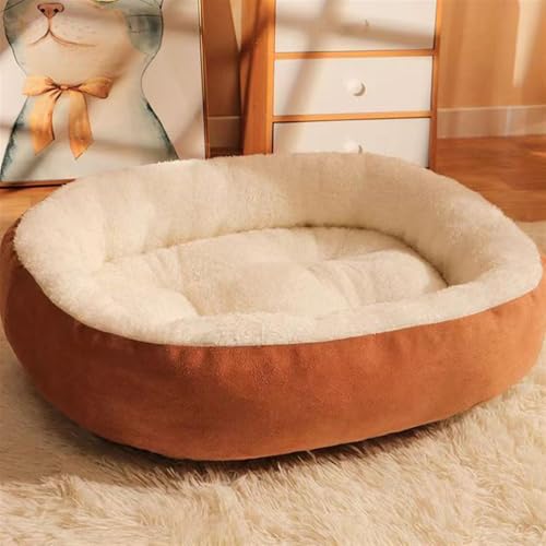 BESTORI Hundebett Katzenbett Maschinenwaschbar Flauschig Hundekissen Weiche Haustierbett Katzen Schlafplatz Matte für Hunde Katze, Khaki 2, 90 x 65 cm BESTORI Hundebett Katzenbett Maschinenwaschbar Flauschig Hundekissen Weiche Haustierbett Katzen Schlafplatz Matte für Hunde Katze, Khaki 2, 90 x 65 cm von BESTORI