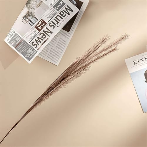 BESTORI Pampasgras Getrocknet 8 Stück Natürliche Trockenblumen Deko 81cm Natürliche Flauschige Pflanze für Boho-Tischdeko Hochzeit, Braun BESTORI Pampasgras Getrocknet 8 Stück Natürliche Trockenblumen Deko 81cm Natürliche Flauschige Pflanze für Boho-Tischdeko Hochzeit, Braun von BESTORI