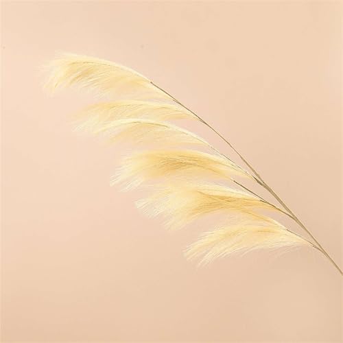 BESTORI Pampasgras Getrocknet Natürliche Trockenblumen 6 Stück 110cm Boho Deko Pflanze für Wohnzimmer Schlafzimmer Hochzeit Tischdeko, Beige BESTORI Pampasgras Getrocknet Natürliche Trockenblumen 6 Stück 110cm Boho Deko Pflanze für Wohnzimmer Schlafzimmer Hochzeit Tischdeko, Beige von BESTORI
