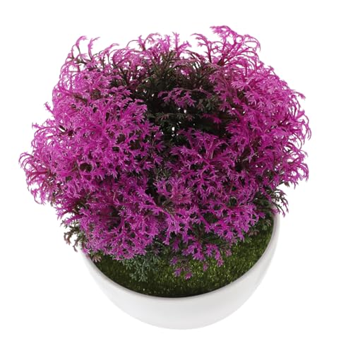 BESTOYARD Bonsais mit künstlichen Blumen künstliche Blumen im freien künstlich im Freien falsche Topfblumen gefälschte Pflanzenornamente künstliche Pflanzen Plastik Violett BESTOYARD Bonsais mit künstlichen Blumen künstliche Blumen im freien künstlich im Freien falsche Topfblumen gefälschte Pflanzenornamente künstliche Pflanzen Plastik Violett von BESTOYARD