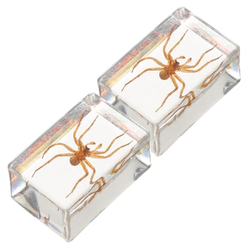 BESTYASH 2 Stück Handgefertigte Deko mit Insekten Motiv Haarige Spinne Design Langlebige Tischdekoration für Büro und Wohnzimmer Stabile Kunstwerke Besonderes von BESTYASH