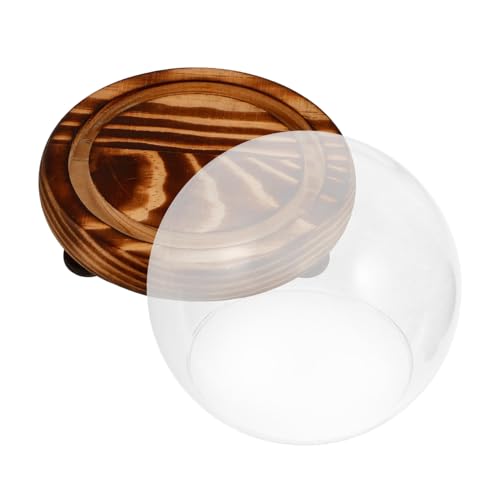 BESTYASH Glasglocke mit Holzboden Transparent Blumenterrarium Dekorative Kuppel für Rosen Globe Pflanzen Display Schutzstaubhaube BESTYASH Glasglocke mit Holzboden Transparent Blumenterrarium Dekorative Kuppel für Rosen Globe Pflanzen Display Schutzstaubhaube von BESTYASH