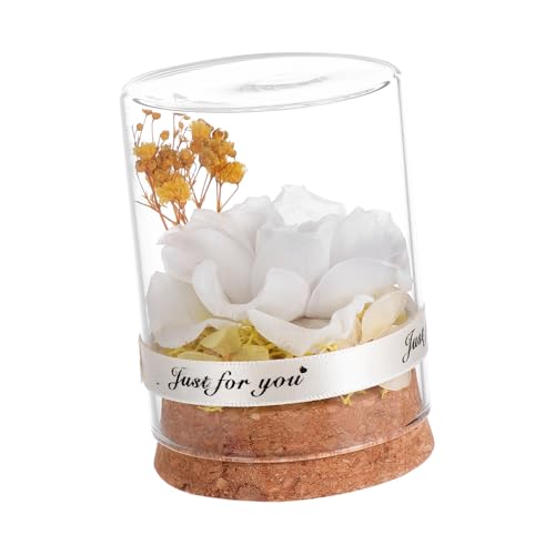 BESTYASH Immortal Flower Glasglocke mit Weißer Simulationsrose Konservierte Rosenbox als Kreatives Valentinstag Dauerhafte Blumendekoration für Weihnachten und Jahrestag von BESTYASH