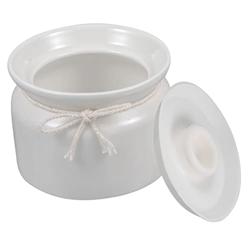 BESTYASH Keramikdose 300 ml Gewürzbehälter Schmalz Vorratsdose mit Deckel für Küche und Dining Lebensmittelaufbewahrung Starke Versiegelung für Gewürze und Öle BESTYASH Keramikdose 300 ml Gewürzbehälter Schmalz Vorratsdose mit Deckel für Küche und Dining Lebensmittelaufbewahrung Starke Versiegelung für Gewürze und Öle von BESTYASH