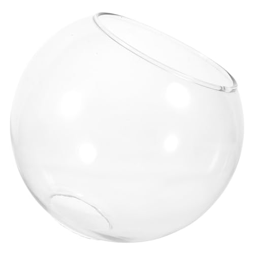 BESTYASH Moderner Transparenter Glasschirm Lampenschirm Ersatz für Stehlampe und Tischlampe Vielseitiger Lampenabdeckung Dekoratives Lichtzubehör für Innenbereich BESTYASH Moderner Transparenter Glasschirm Lampenschirm Ersatz für Stehlampe und Tischlampe Vielseitiger Lampenabdeckung Dekoratives Lichtzubehör für Innenbereich von BESTYASH