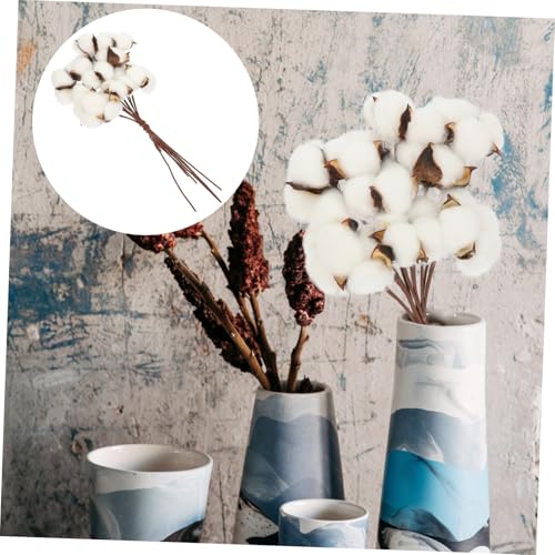BESTYASH Natürliche Getrocknete Baumwollzweige Teiliges Leichte Baumwollblüten Stängel Wiederverwendbar für Weihnachtsdeko DIY Blumengestecke und Festliche Wohnraumgestaltung von BESTYASH