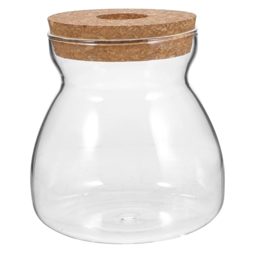 BESTYASH Transparentes Glas Terrarium mit Belüftungsdeckel Mittlerer Micro landschaftsbehälter für Hydroponische Pflanzen Dekorative Vase für Zimmerpflanzen und Vielseitige von BESTYASH